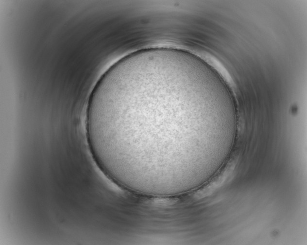 X0000102390847200808151919