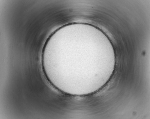 X0000102390848200808151919