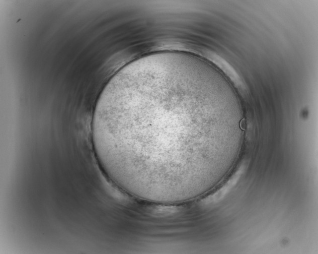 X0000102390849200808151919