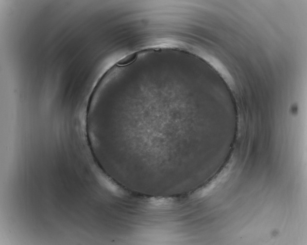 X0000102390850200808151919