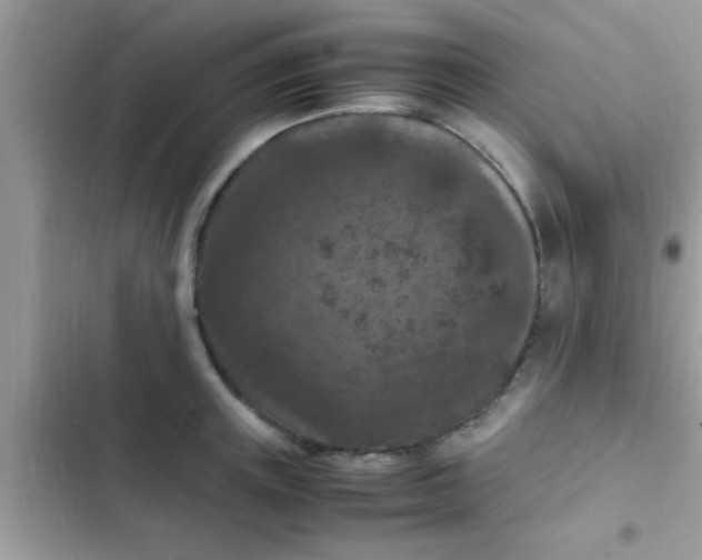 X0000102390851200808151919