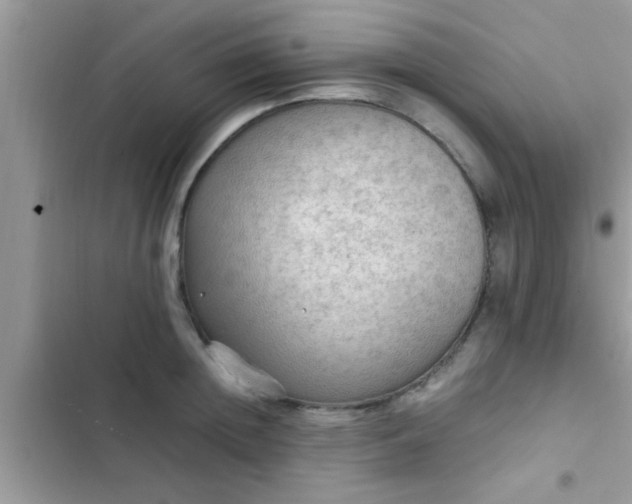 X0000102390852200808151919