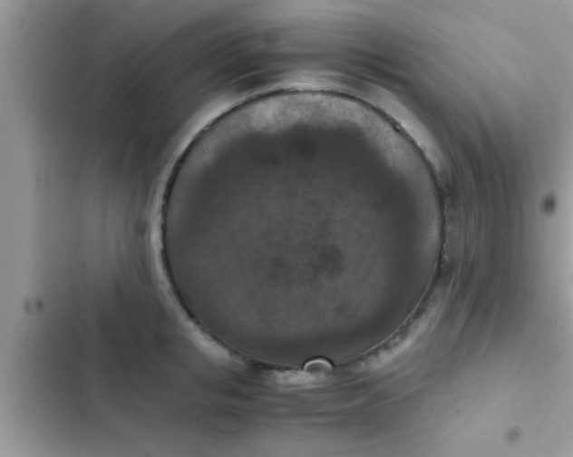 X0000102390853200808151919