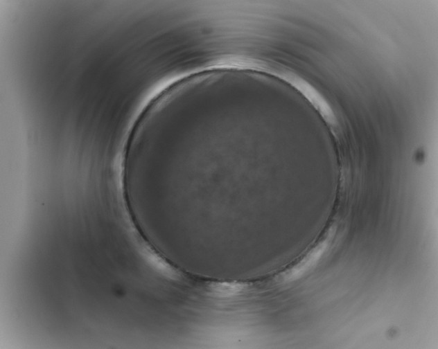 X0000102390854200808151919