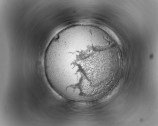 X0000102390855200808151919