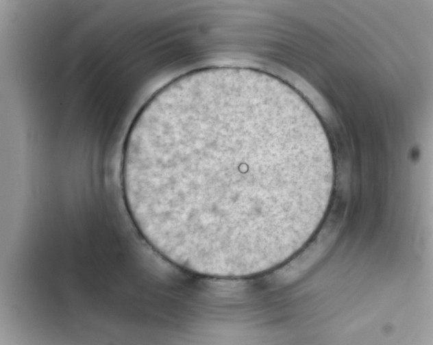 X0000102390856200808151919