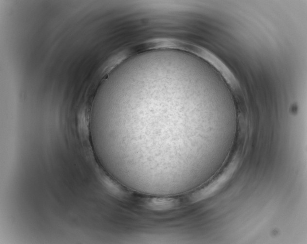 X0000102390857200808151919