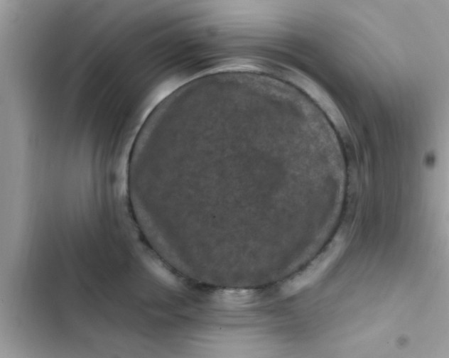 X0000102390858200808151919