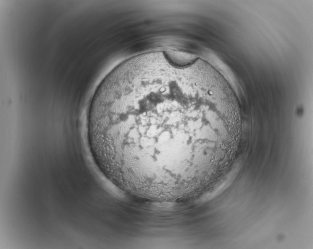 X0000102390859200808151919