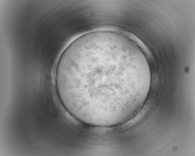 X0000102390860200808151919