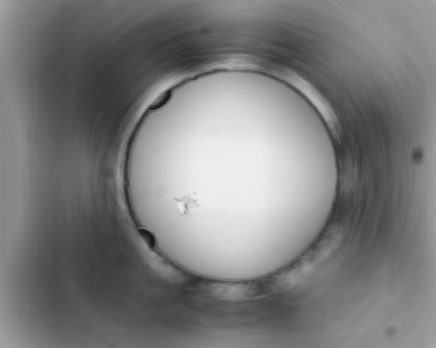 X0000102390861200808151919