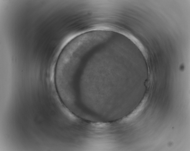 X0000102390862200808151919