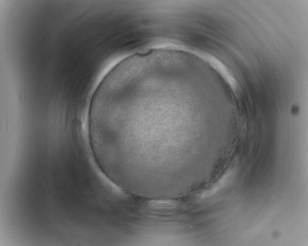 X0000102390863200808151919