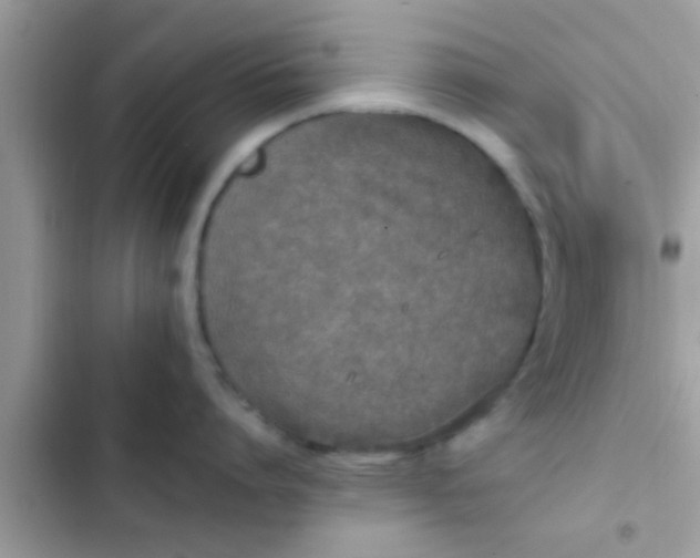 X0000102390864200808151919