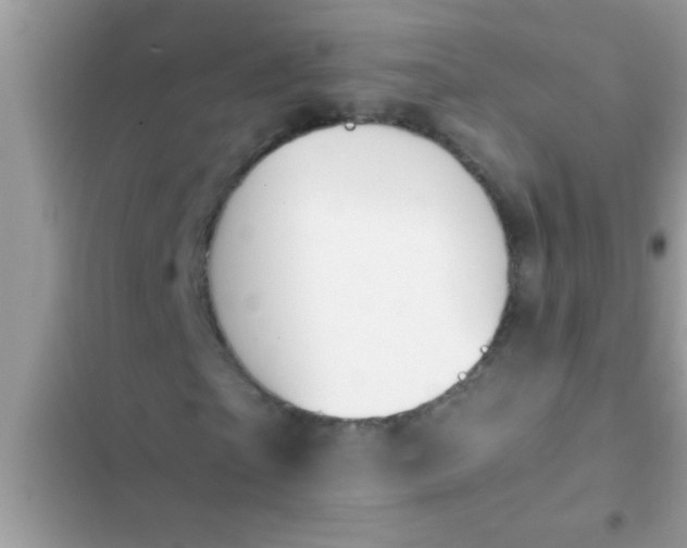 X0000102390865200808151919