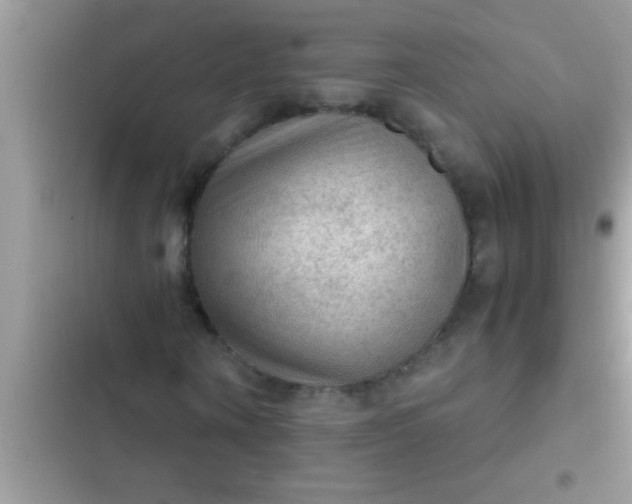 X0000102390866200808151919