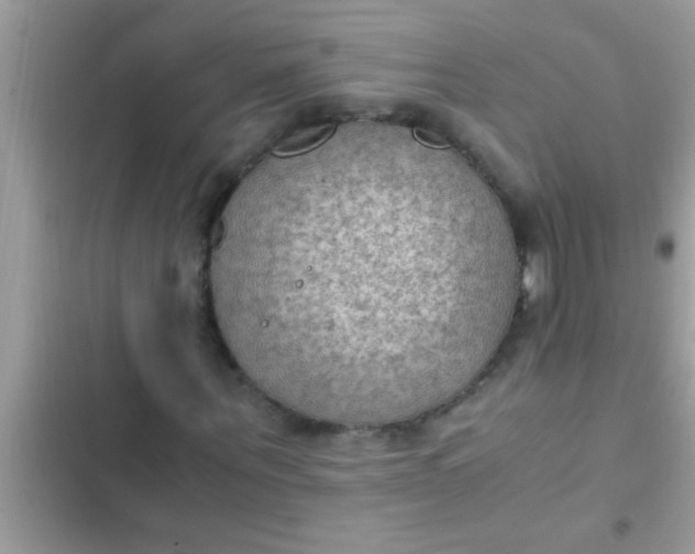 X0000102390867200808151919