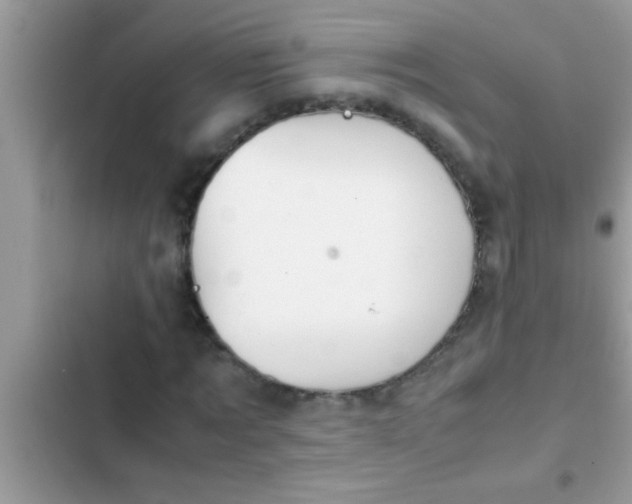 X0000102390869200808151918