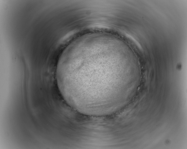 X0000102390870200808151918