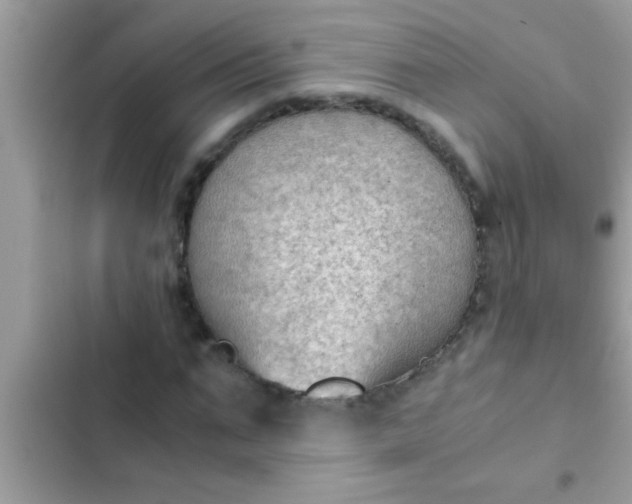 X0000102390871200808151918