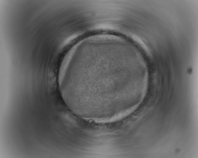 X0000102390872200808151918