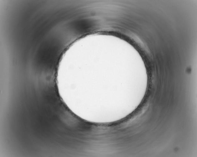 X0000102390873200808151918