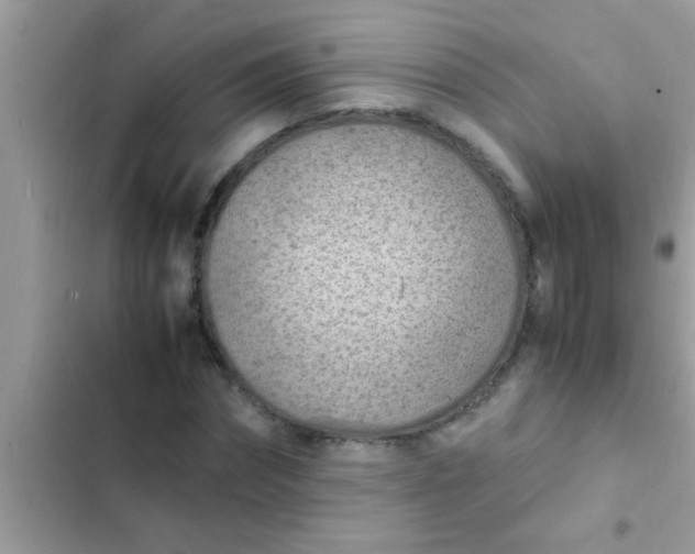 X0000102390874200808151918