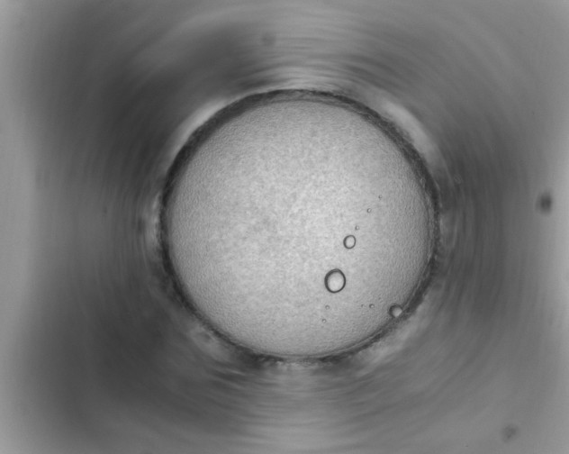 X0000102390875200808151918