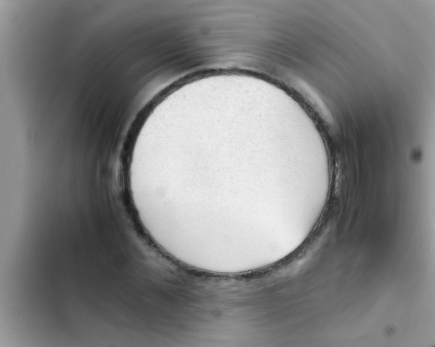 X0000102390876200808151918