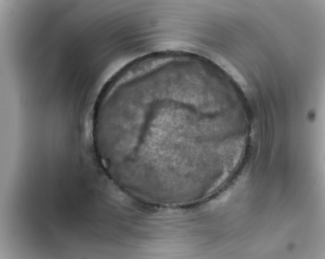 X0000102390877200808151918