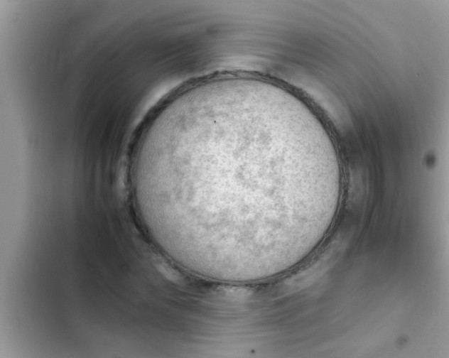 X0000102390878200808151918