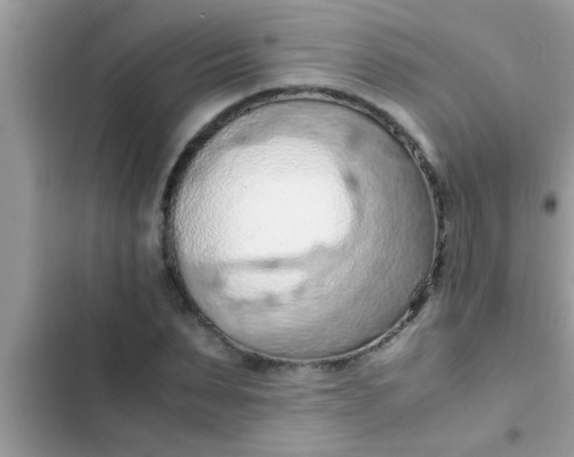 X0000102390879200808151918