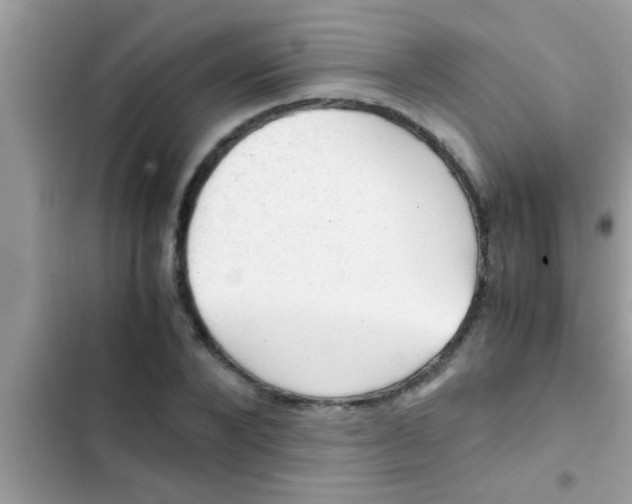 X0000102390880200808151918