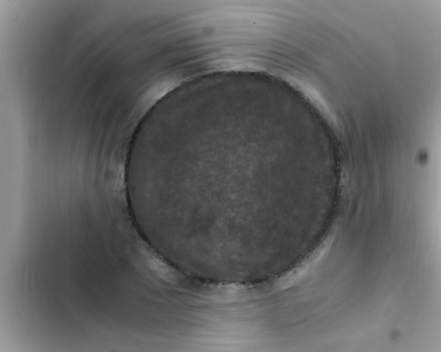 X0000102390881200808151918