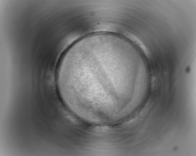 X0000102390882200808151918