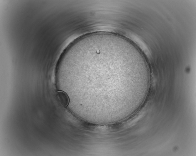 X0000102390883200808151918