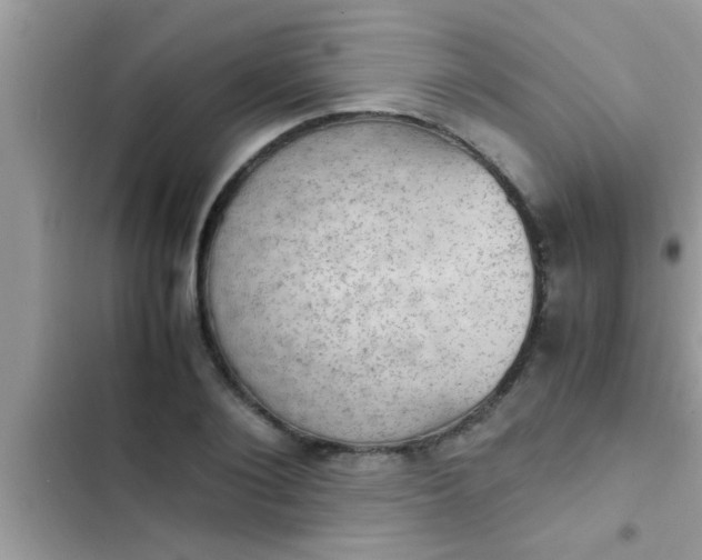 X0000102390884200808151918