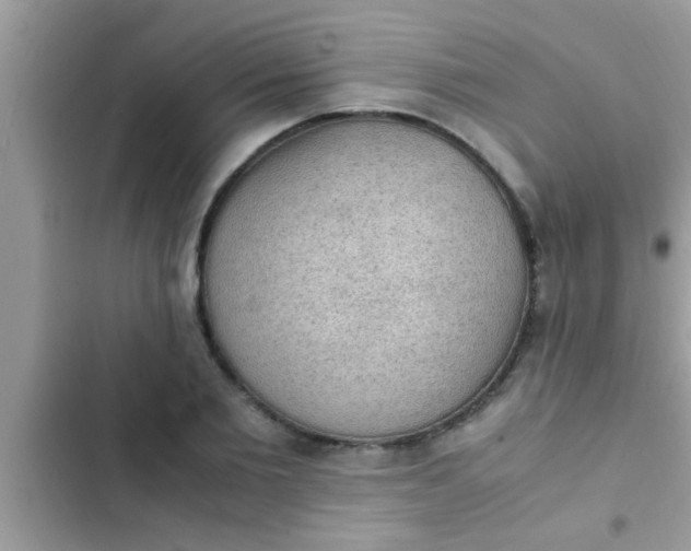 X0000102390885200808151918