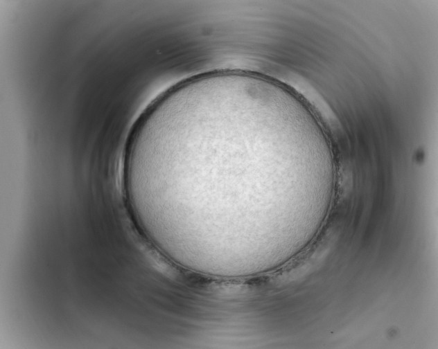 X0000102390886200808151918