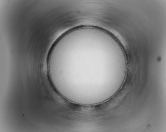 X0000102390887200808151918