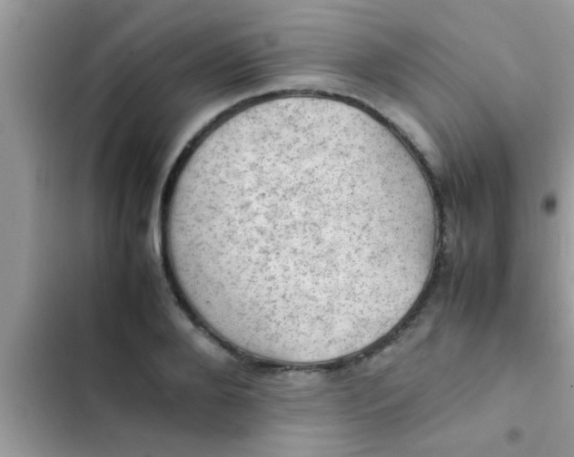 X0000102390888200808151918