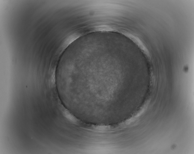 X0000102390889200808151918