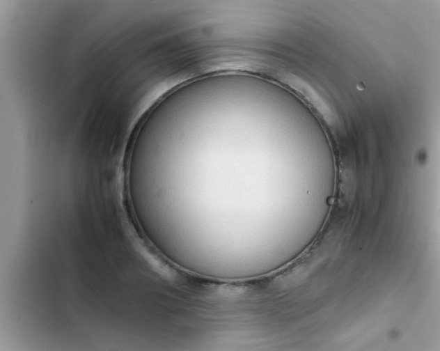 X0000102390890200808151918