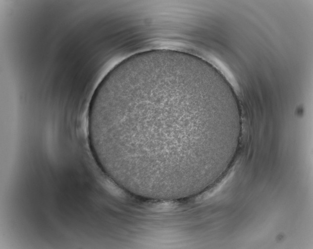 X0000102390891200808151918