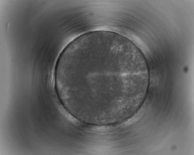 X0000102390892200808151918