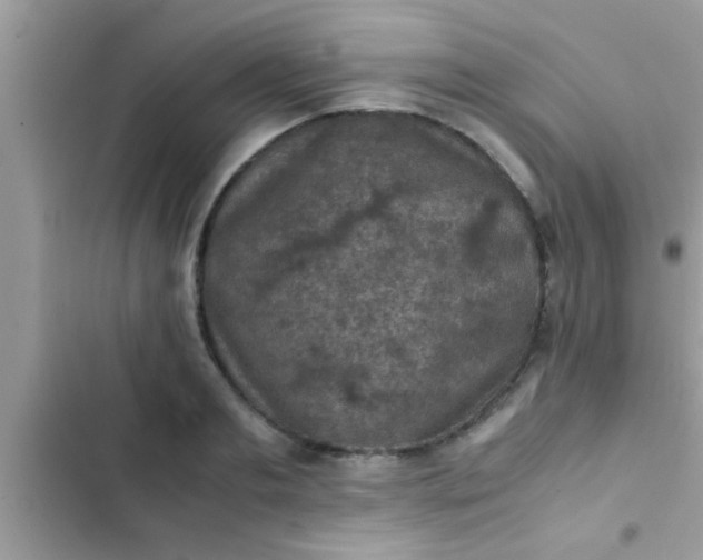 X0000102390893200808151918