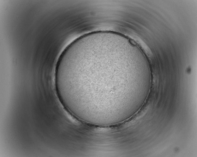 X0000102390894200808151918