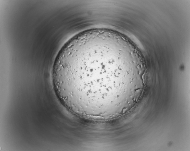 X0000102390895200808151918