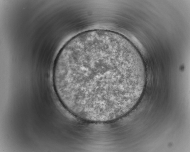 X0000102390896200808151918