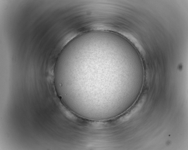 X0000102390897200808151918